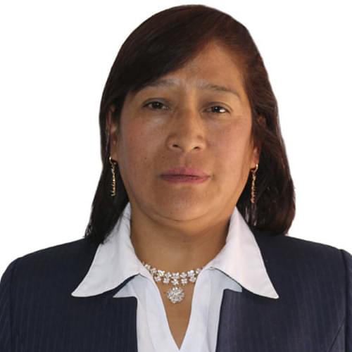 Imagen Directivo